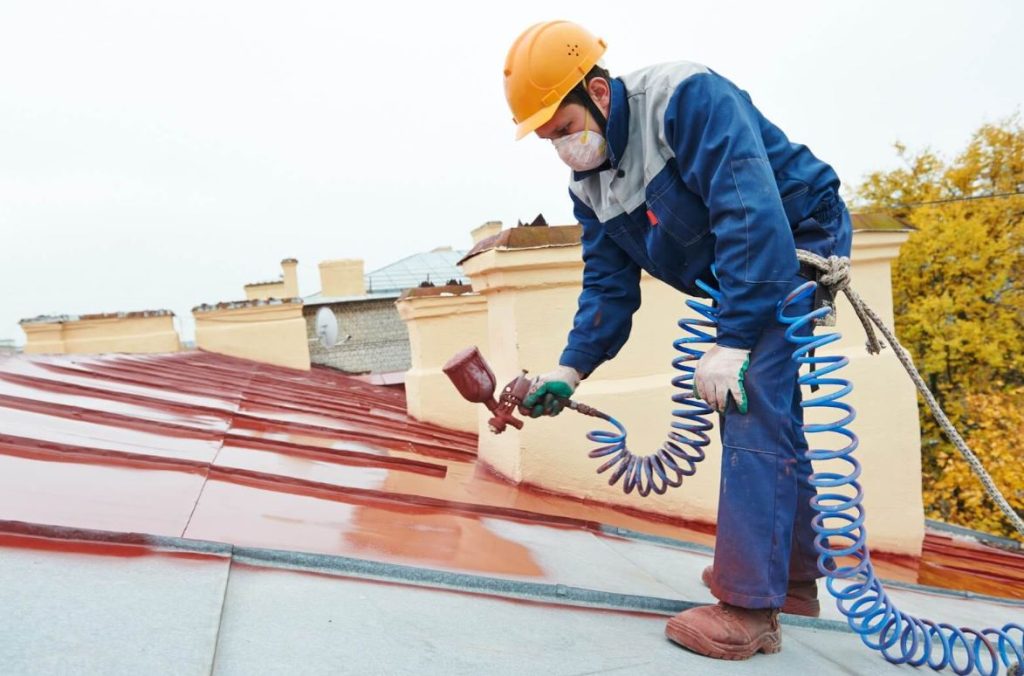 Professional Roof Painting
